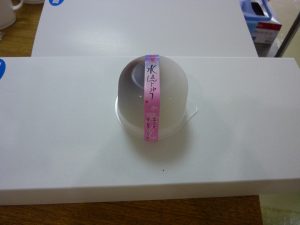 P1060235